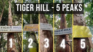 Tiger Hill 🐯 - 5 Peaks to Penang Hill (Hiking vlog)