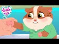 Will Popcorn Ever Play Guitar Again Vida The Vet Cartoons For Kids 