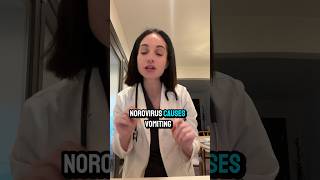 The Stomach Bug And What To Do