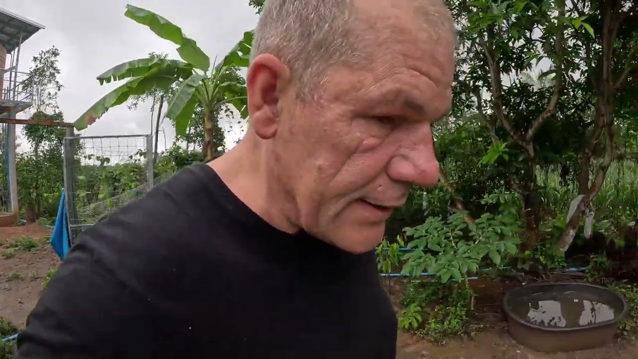 🌧️ Ausnahmezustand in Thailand! 3 Tage Dauerregen & Unwetterwarnung auf der Farm