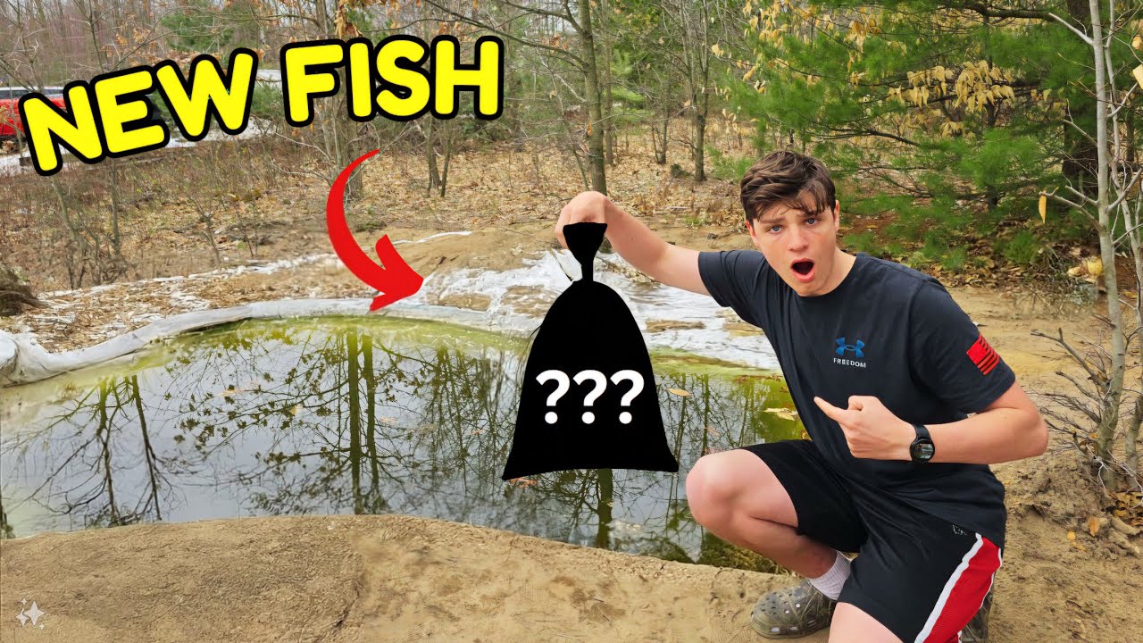 Putting 20+ New Fish In My Backyard Pond! - YouTube