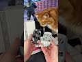 Это новые премиальные игровые мыши от Дарк Проджект ME5 Pro ТГ: InterShop