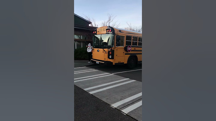 Xe bus 🚌 đưa đón học sinh đi học 📚 ở Mỹ 🇺🇸