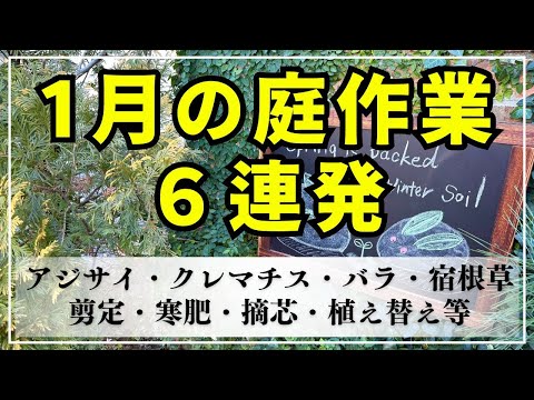 1月の庭仕事でやるべき3つのタスクと体験談