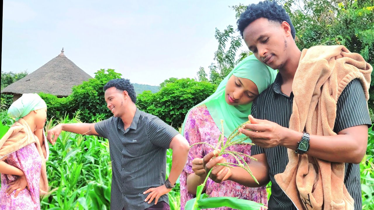 Yoom as geenyee salphaatti ,