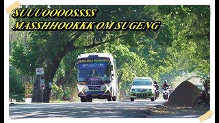 'Hunting Bus Ngeblong' Didepan RM Kurnia Jatim - Ngawi, Jawa Timur
