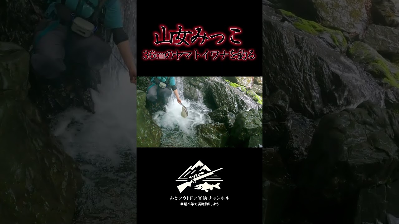 36㎝のヤマトイワナを釣る山女みっこ #田舎暮らし #アウトドア #渓流釣り
