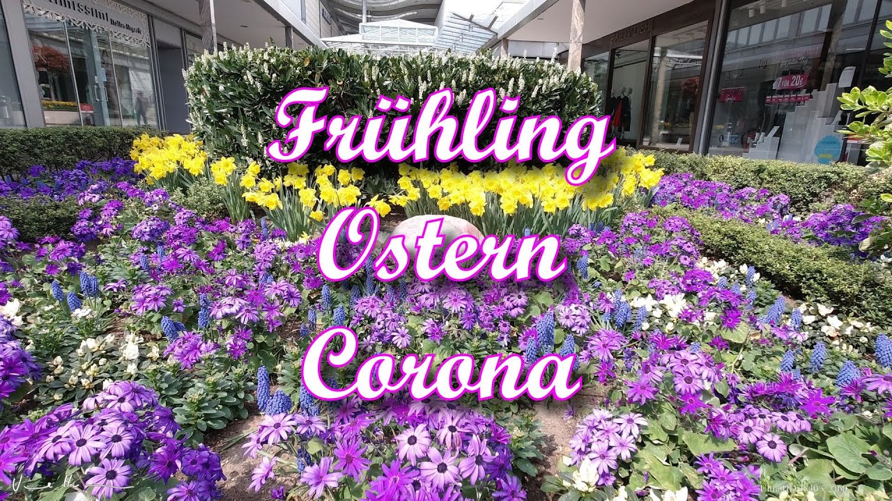 Corona Frühling Corona Frühling