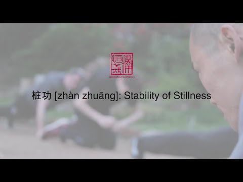 Zhàn zhuāng 桩功 - Stability of Stillness (w/ Subs)