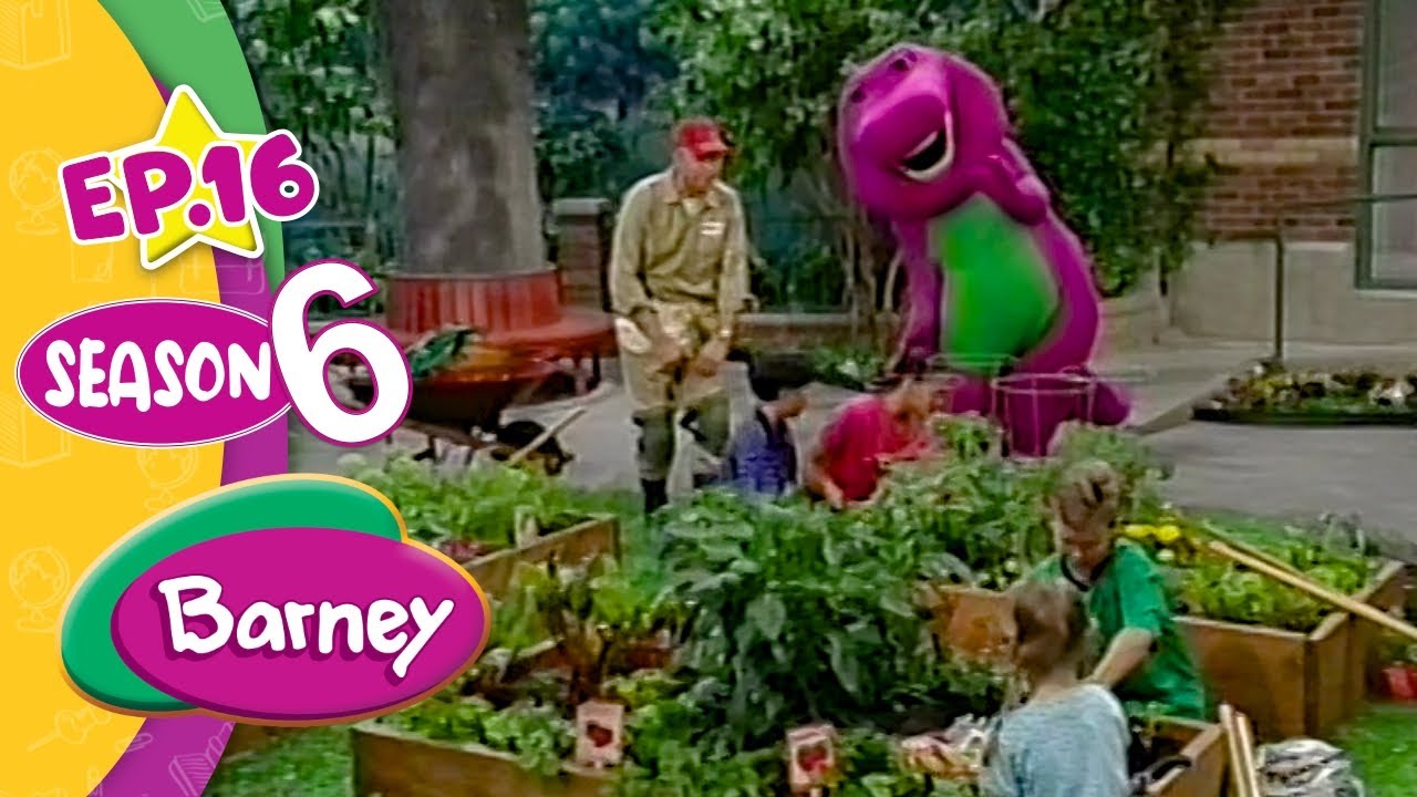 BARNEY & FRIENDS | How Does Your Garden Grow? | S. 06, Ep. 16 | FULL EPISODE
