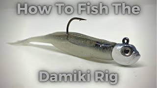 How to fish the Damiki Rig AKA scrubbing