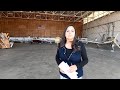 Mooney M20E is getting a new paint (episode 2): Getting an estimate