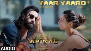 Yaar Yaaro (Soul Version) Audio Song | Animal (Deluxe Edition) | Ranbir Kapoor,Tripti D | Vishal M