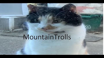 Hoi4 lets play live #stream #live #hoi4 #gingythecat #livestream