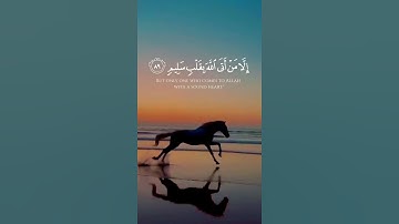 احمد النفيس سورة الشعراء