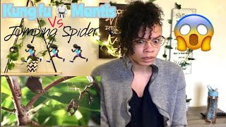 Kung fu Mantis Vs. Jumping Spider (Unexpected End)