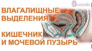 Вагинизм: что это такое, причины, симптомы, диагностика и лечение Вагинизм: что это такое, причины, симптомы, диагностика и лечение