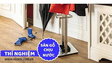 Thí nghiệm khả năng chống nước của sàn gỗ chịu nước cao cấp tốt nhất hiện nay Kaindl