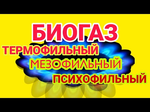 Видео: Картографирането на пътя на левкоцитния транскриптом при пациенти с грип разкрива различни патогенни механизми, свързани с прогресиране до тежка инфекция