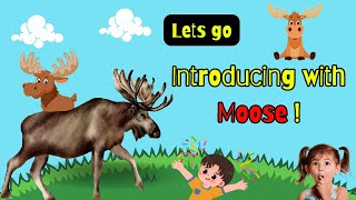 Moose Adventures 🦌 | Fun Animal Facts for Children #kids