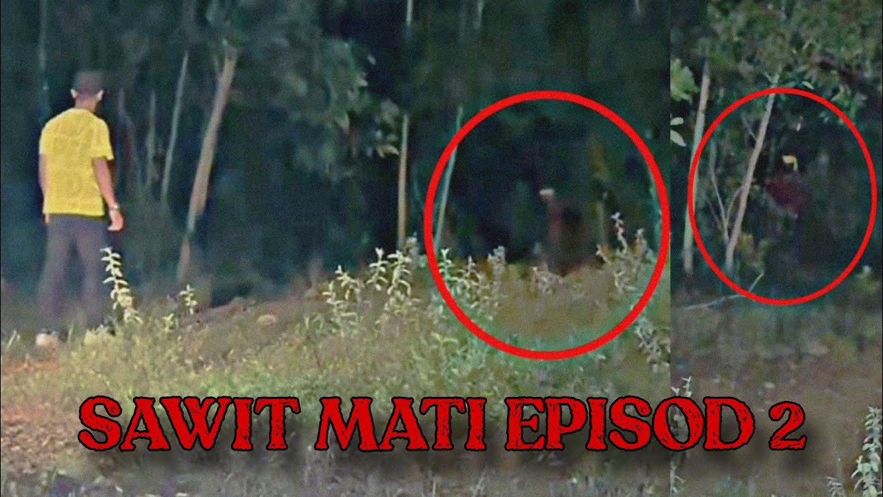 SAWIT MATI (Episod 2) - SUARA HANTU PEREMPUAN MENGILAI | Paranormal DZP ...