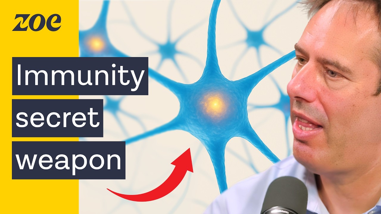Cancer fighting cells, 5 threats to your immune system - and how to fight them | Prof. Daniel Davis