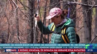 Spłonął Las Kalifornii Grozi Susza