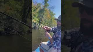 Fly Fishing For WILD TROUT in Massachusetts