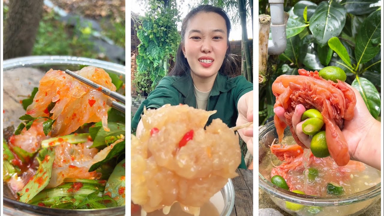 Tổng hợp cái loại sứa giòn VN 