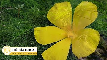 Phút Cầu Nguyện, Thứ Bảy 22/01/2022: Được Sinh Ra Từ Trái Tim Của Cha Mẹ