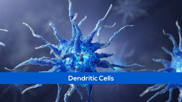 Dendritic Cells - Science Animation - Immunology