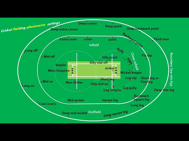 Cricket Mat Measurements