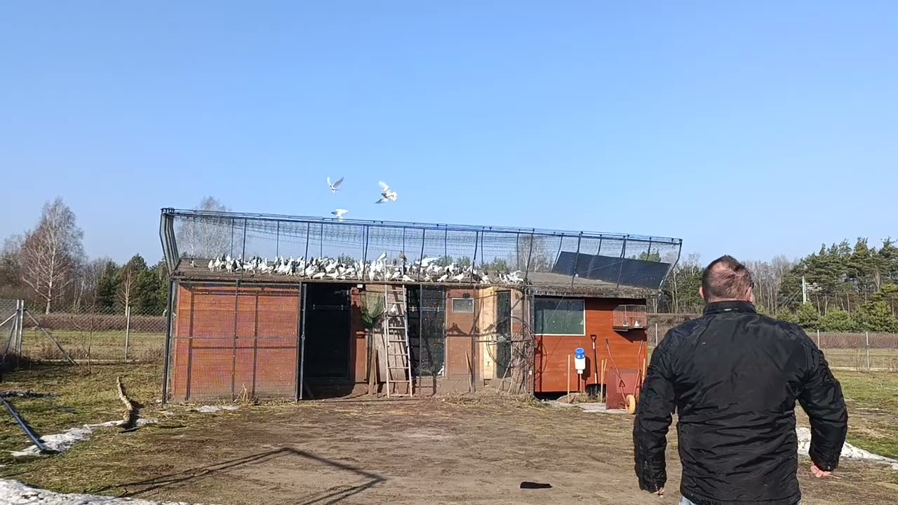 Poganiane. Pozdrawiam 🔥🔥🔥.