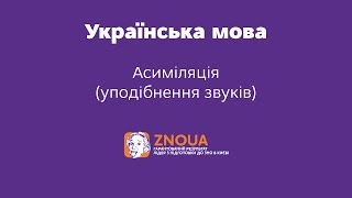 Відеоурок ЗНО з української мови. Асиміляція (уподібнення) звуків ч.1. Відеоурок ЗНО з української мови. Асиміляція (уподібнення) звуків ч.1.