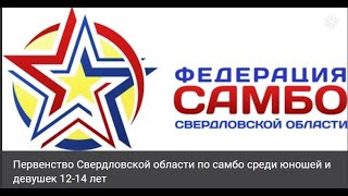 Областные соревнования по самбо среди юношей и девушек 12-14 лет.КОВЕР  № 2  3 ИЮНЯ  2023г.