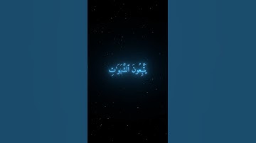 ما تيسر من سوره النساء || محمد صديق المنشاوي