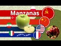 Manzanas, Batalla Entre Potencias por Liderar la Producción Mundial, Importaciones y Exportaciones