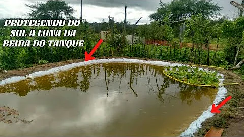 Como evitar que a lontra coma os peixes?