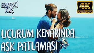 Candan Hayat Kurtaran Hamle 4K Ultra Hd Erkenci Kuş