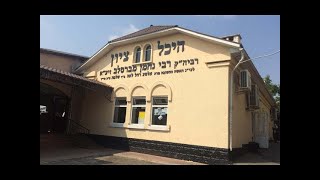 שידור חי מאומן - שיעורו של הרב עופר ארז שליט"א