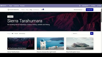 Website Blog Custom Tab - Advance Odoo