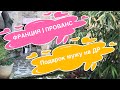 ФРАНЦИЯ | ПРОВАНС | ПОДАРОК МУЖУ НА ДР