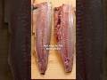 Which Whetstone Is Best for Filleting Fish? Testing a Deba Knife @t@tsuripichi_tvJik@Jikkocutlery