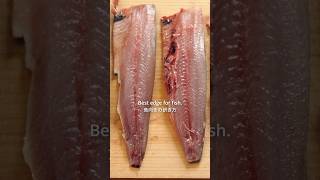 Which Whetstone Is Best for Filleting Fish? Testing a Deba Knife @t@tsuripichi_tvJik@Jikkocutlery