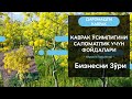 ДАРОМАДЛИ КАВРАК ЎСИМЛИГИ ВА УНИНГ САЛОМАТЛИК УЧУН ФОЙДАСИ. НИМА УЧУН КОВРАК ЖУДА ҚИММАТ???