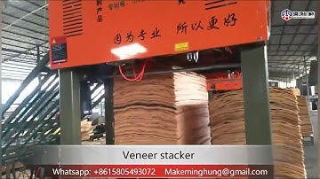 vacuum automatic veneer stacker/veneer sorting machine