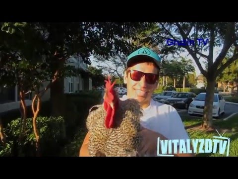 გამვლელებს თავის მამალს ანახებს (მაგარი გაარტყეს)