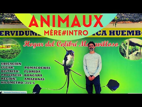Artists and animals... ENGLISH SUBTITLES (MOTHER#INTRO)