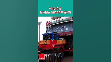 የጣናነሽ አቀባበል በዘንባባዋ ከተማ ጣናነሽ2 አሚኮ 