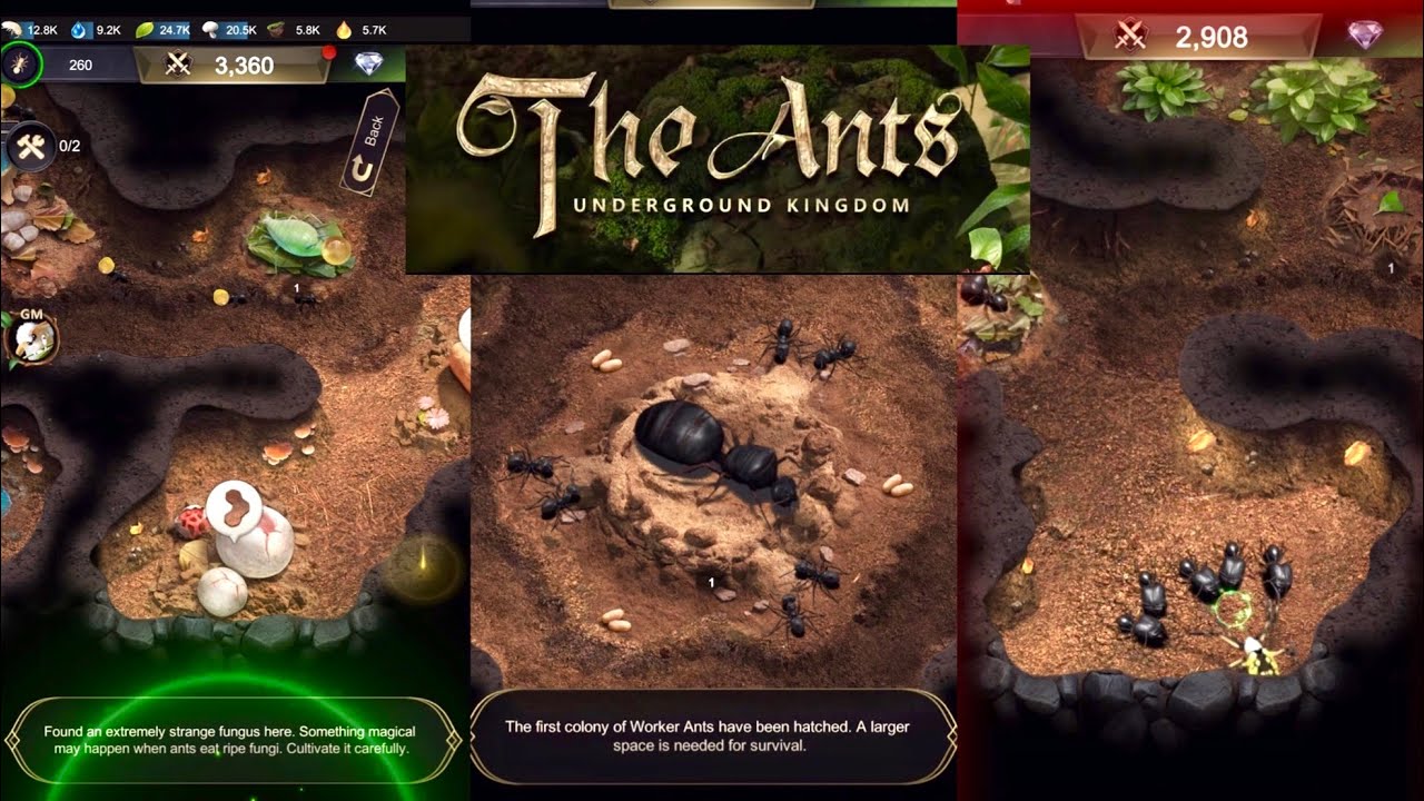 The Ants Underground Kingdom Gameplay iOS Android
